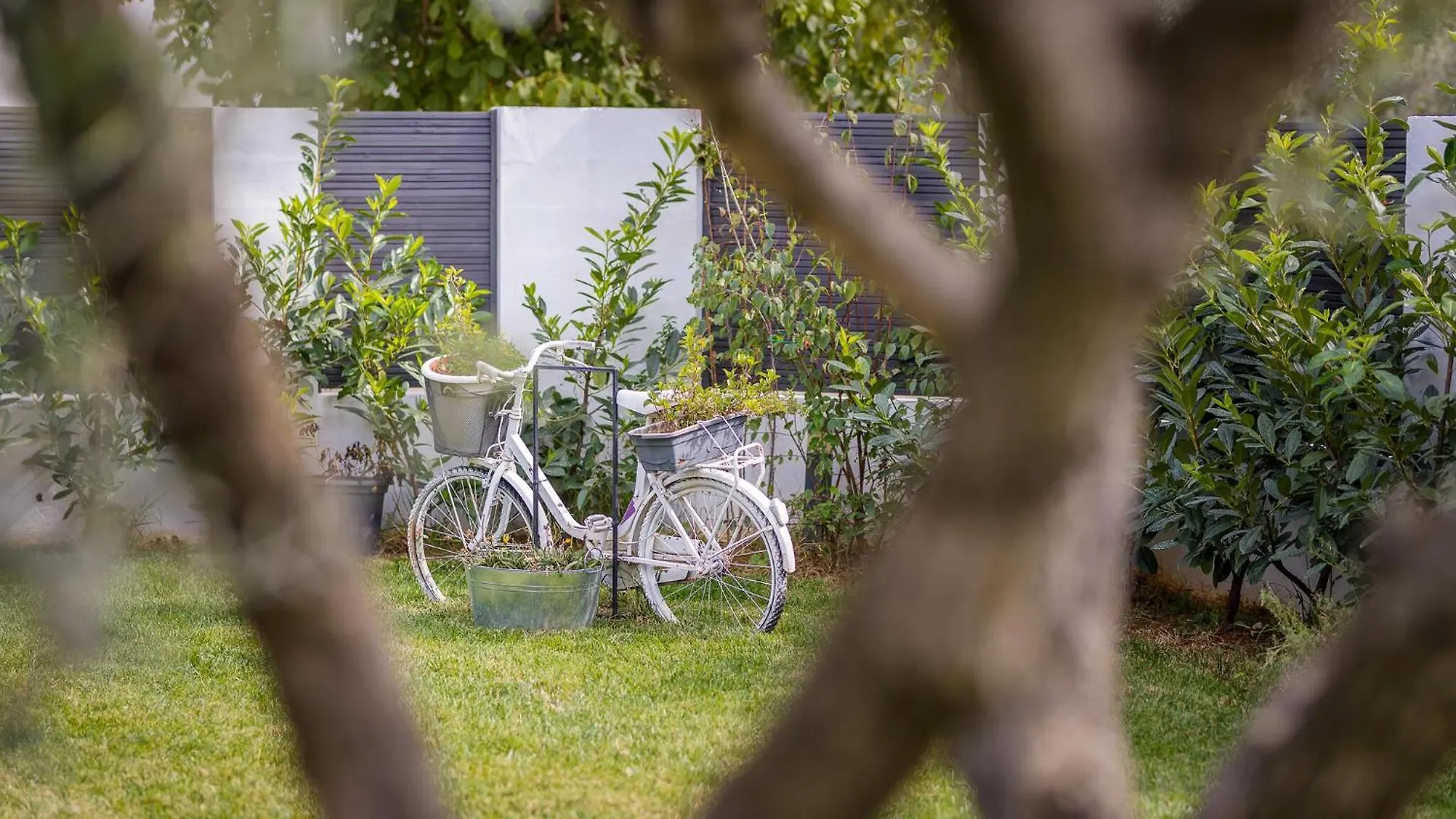 Σπίτι διακοπών Pet Friendly Home In Vodnjan With Jacuzzi Κροατία